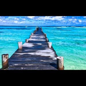 Meet your Posher, Tara